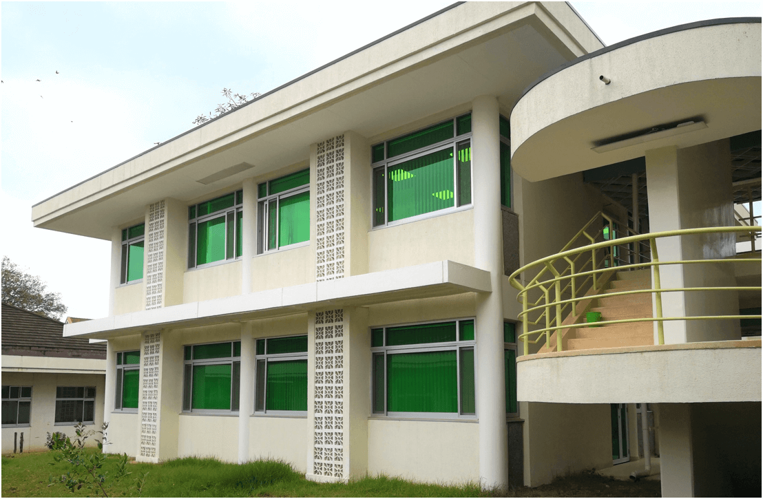 KEMRI Laboratory Block Mbagathi Website Design